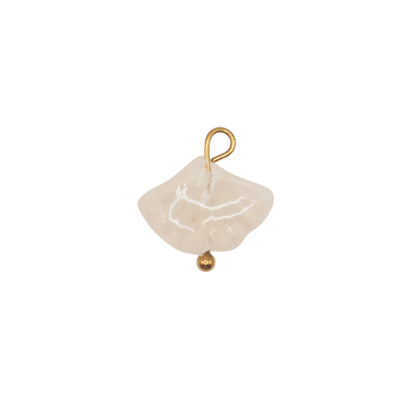 Feuille de ginkgo
