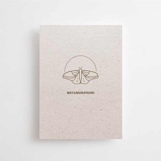 Carte postale épaisse métamorphose
