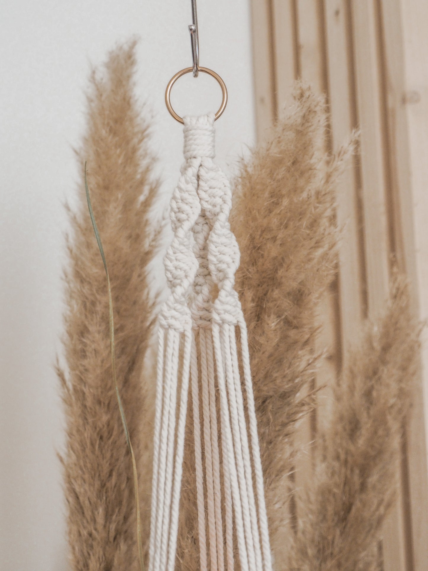 Suspension de plante • Mathilde