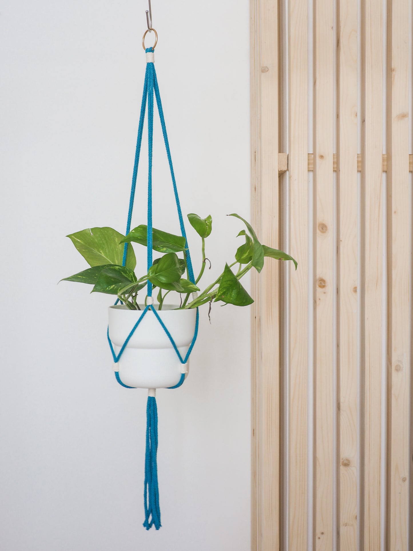 Suspension de plante • Coralie