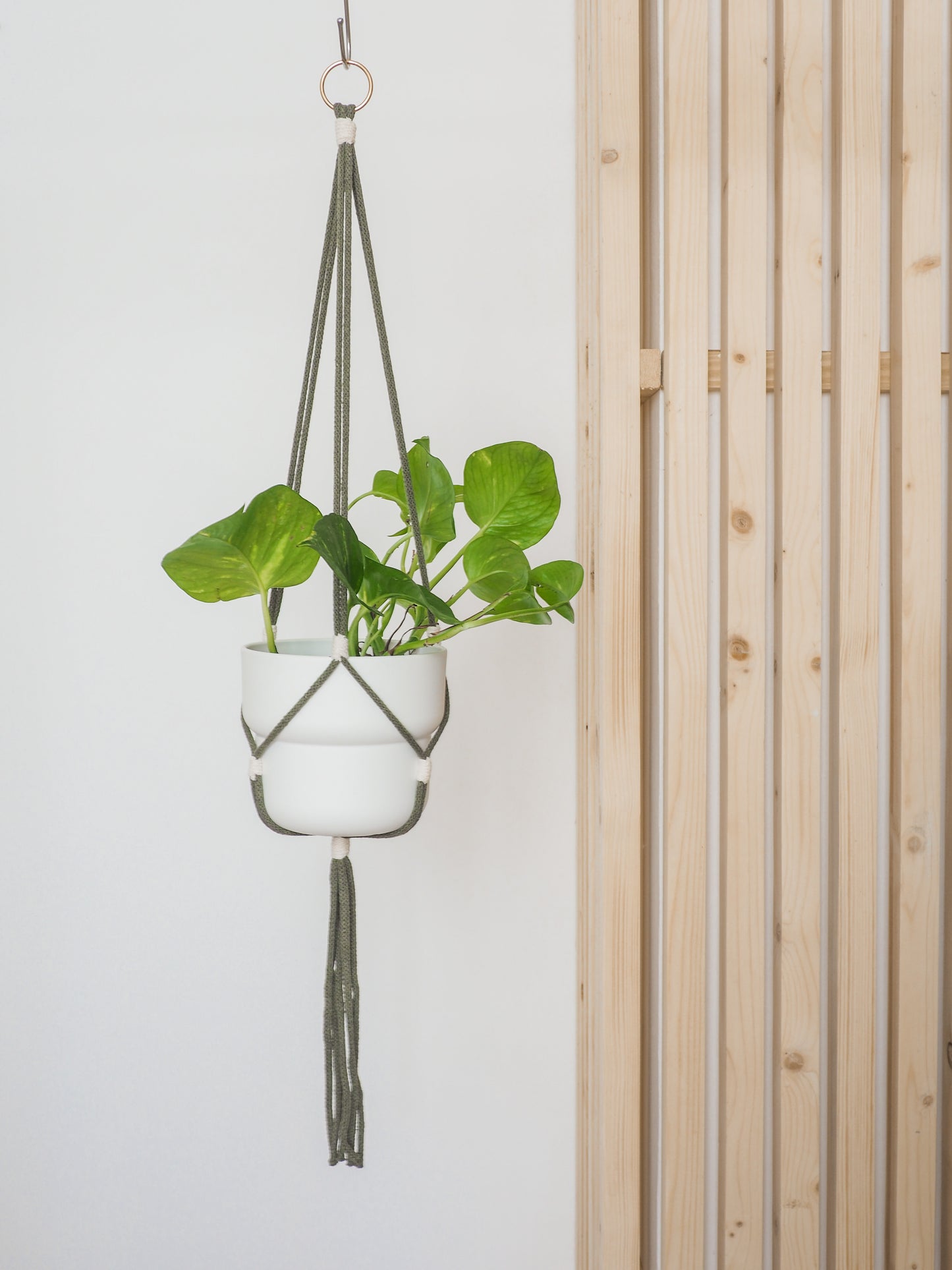 Suspension de plante • Coralie