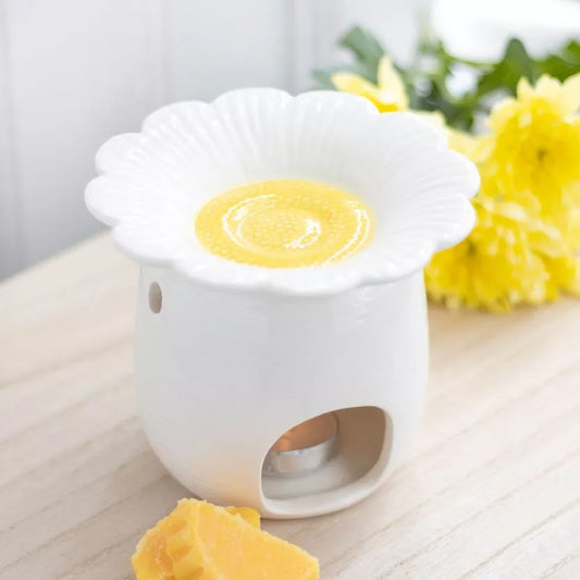 Bruleur marguerite