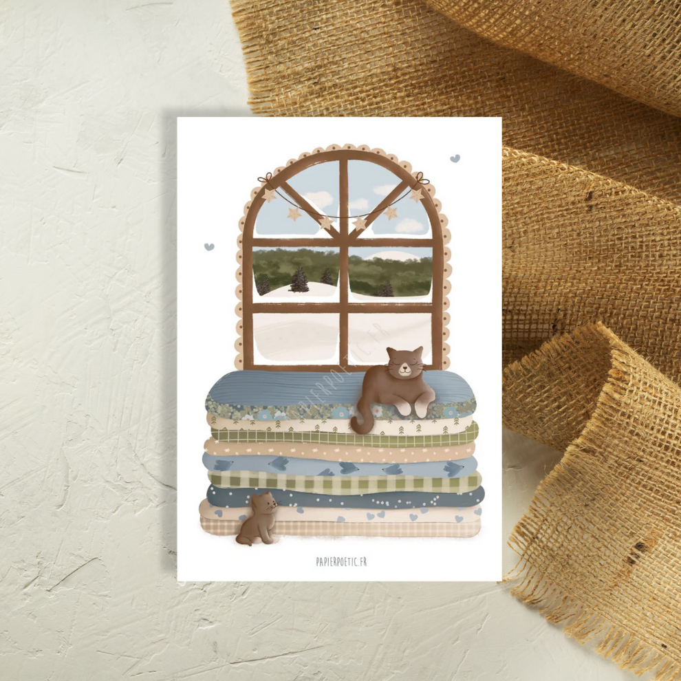 Carte postale chats et plaids